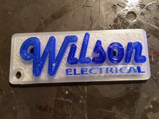 Wilson Electrical keychain 3D Print 67638