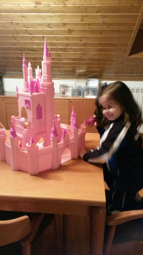 Princess Castle (a huge job) 3D Print 67859