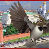 ZAEBUSHEK - Thumbnail 1