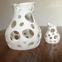 Small Coral Vase  3D Printing 68184