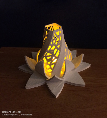 Radiant Blossom 3D Print 68446