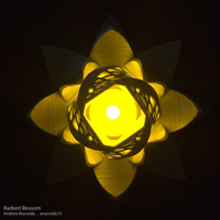 Radiant Blossom - Thumbnail 2