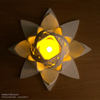 Radiant Blossom - Thumbnail 3