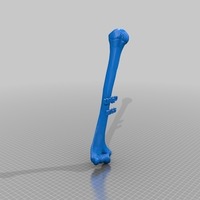 Small Úmero Direito - ESCS 3D Printing 68513