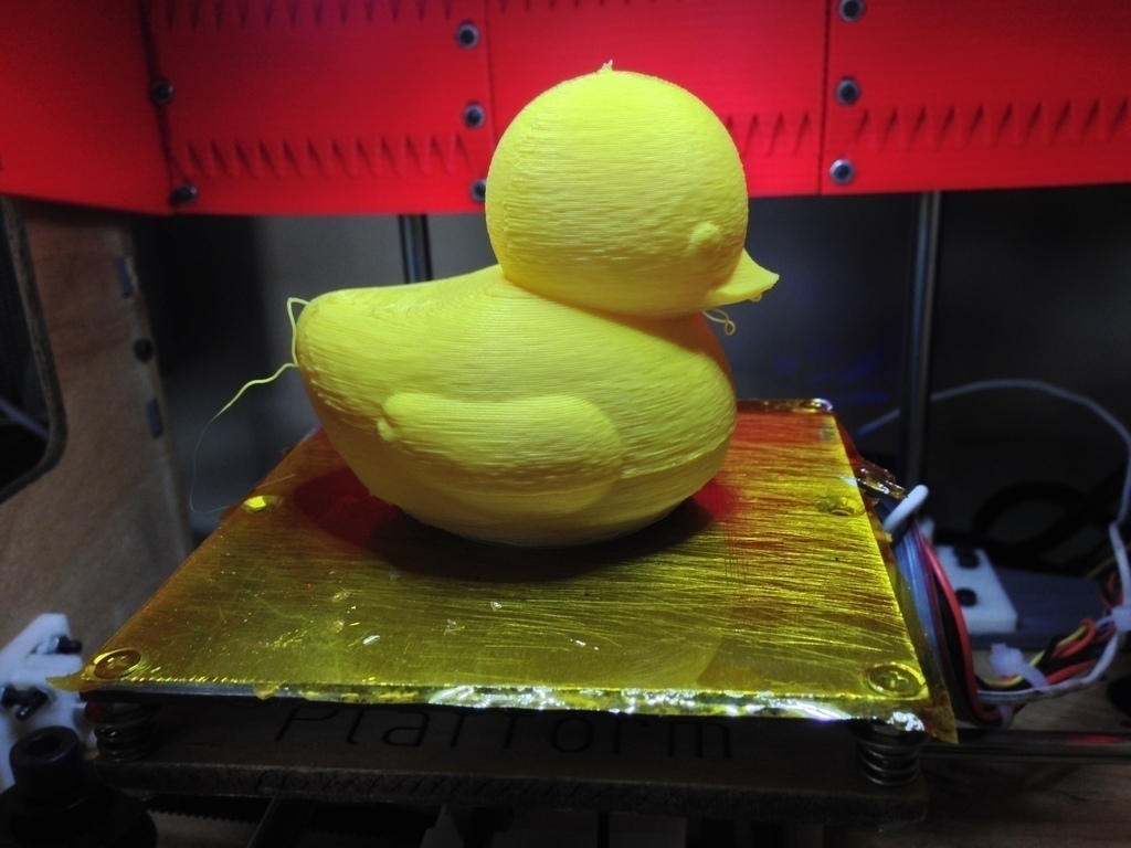 printed rubber ducks