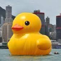 Rubber Duck Boat - Thumbnail 2