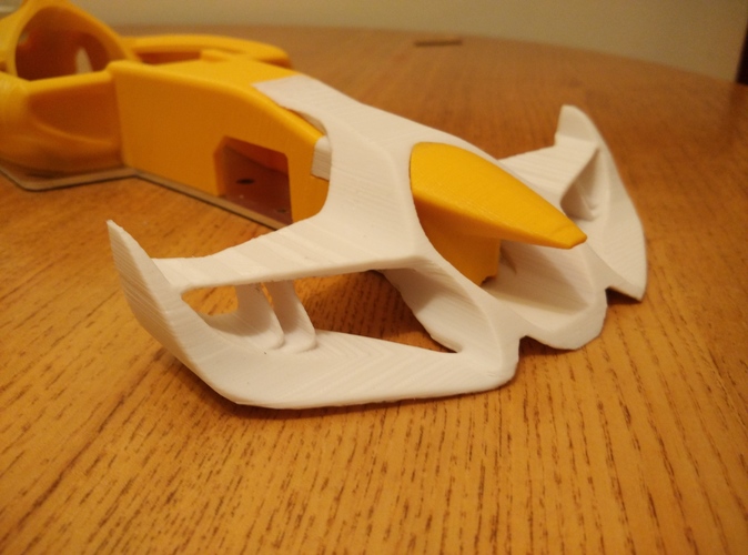 OpenRC F1 Front Wing&Nose 3D Print 68672