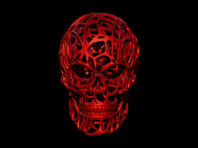 Wired Skull 3D Print 68819