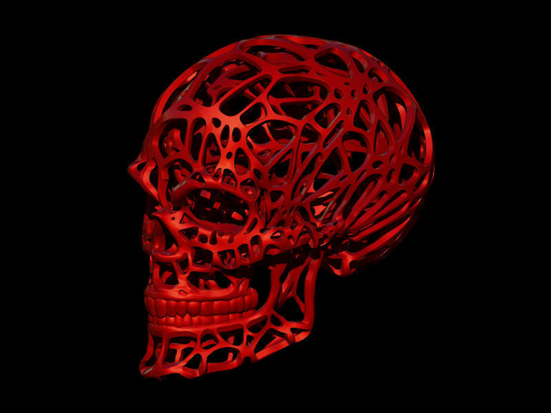 Wired Skull