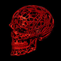 Small Wired Skull 3D Printing 68820