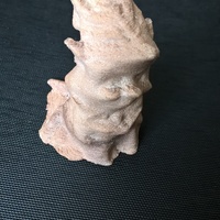 Elfe des forets - Thumbnail 4