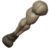 Boxer's Arm - Thumbnail 3