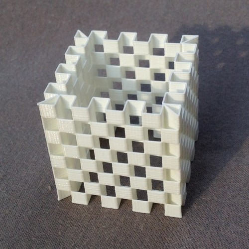 Es-Cage Cube (4 versions) 3D Print 69629