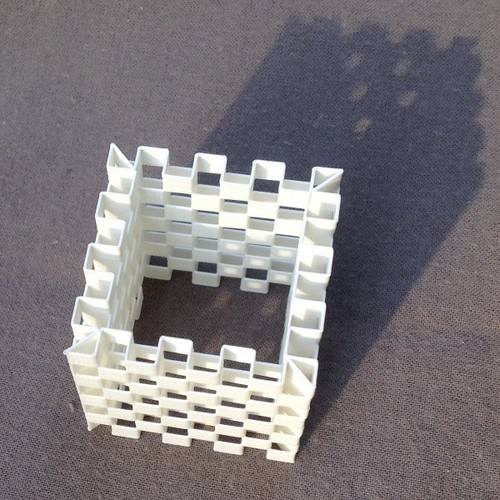 Es-Cage Cube (4 versions) 3D Print 69631