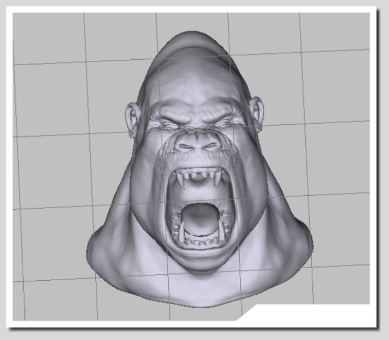 GORILLA