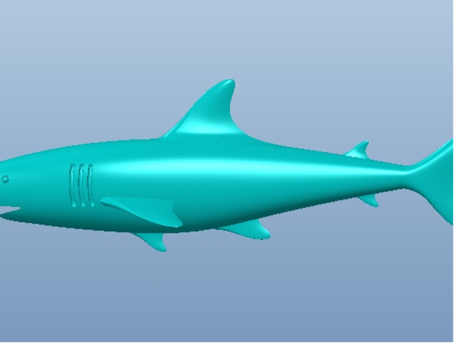 shark  3D Print 70321