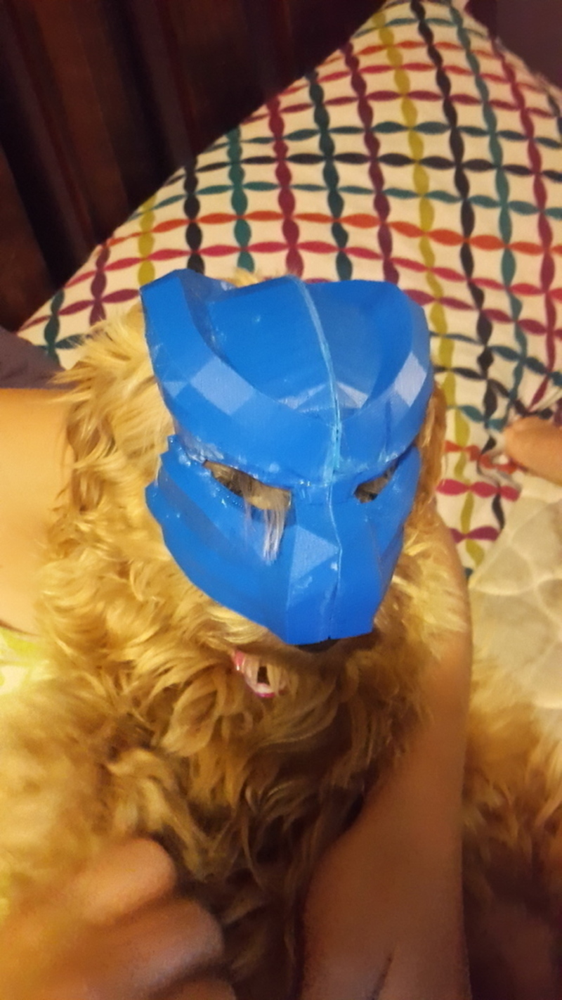 Dog Or Cat Predator Mask