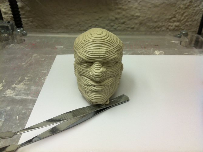 serious Head 3D Print 70751