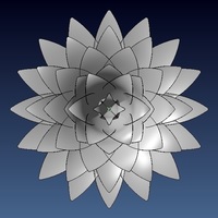 orchid - Thumbnail 2