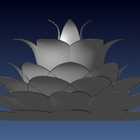 orchid - Thumbnail 3