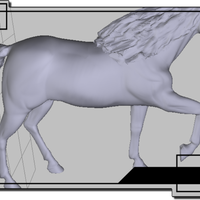 Horse  - Thumbnail 3