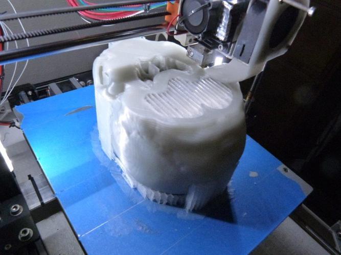 Human Skull from MRI 3D Print 70973