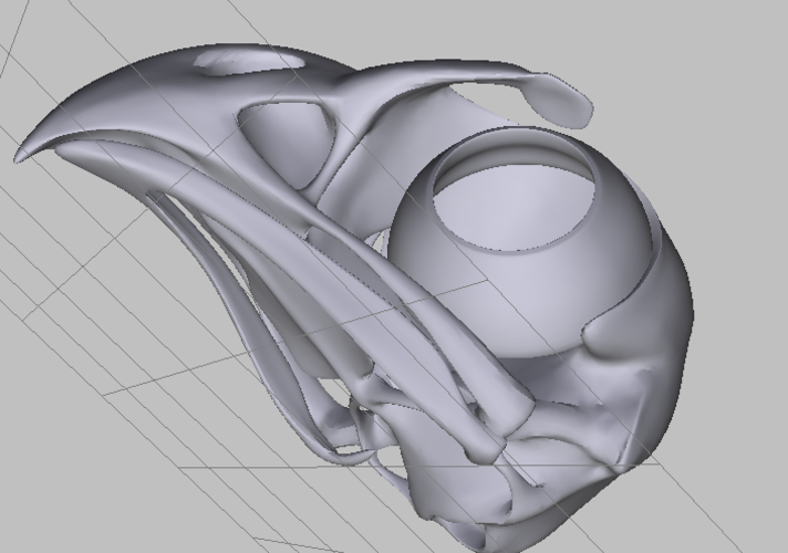 The skull hawk 3D Print 72454