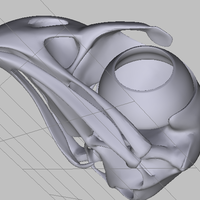 Small The skull hawk 3D Printing 72454