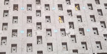 Image 72971