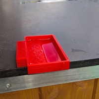 Bee drinking - Thumbnail 2