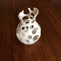 Small Coral Vase 3D Printing 73544