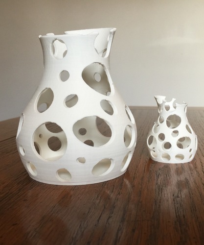 Coral Vase 3D Print 73546