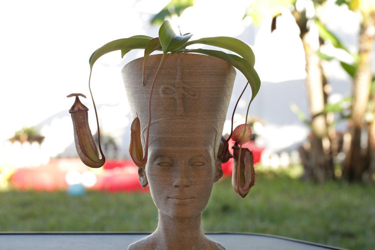 Nefertiti Bust [Hollow] 3D Print 74005