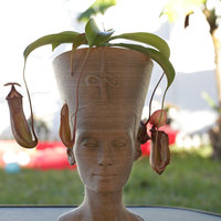 Small Nefertiti Bust [Hollow] 3D Printing 74005