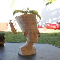 Nefertiti Bust [Hollow] - Thumbnail 3