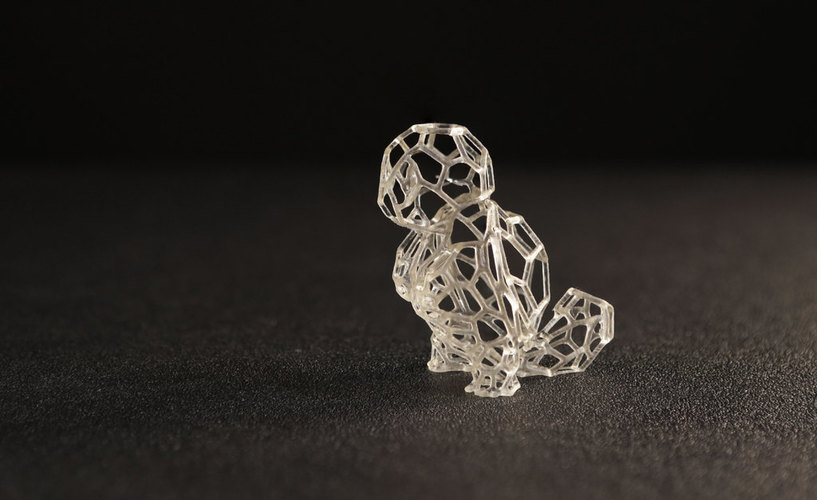 Voronoi Squirtle 3D Print 74024