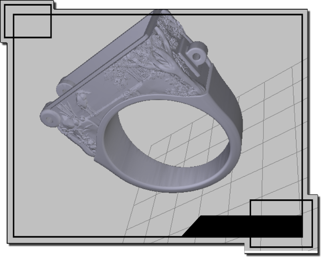 Ring with a secret 3D Print 74264