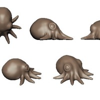 Mini Octopus - Thumbnail 2
