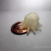 Mini Octopus - Thumbnail 3