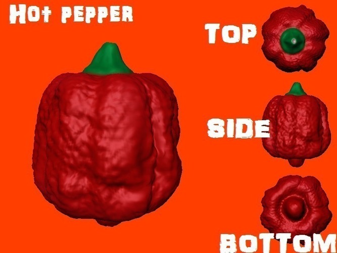 Hot pepper 3D Print 74687
