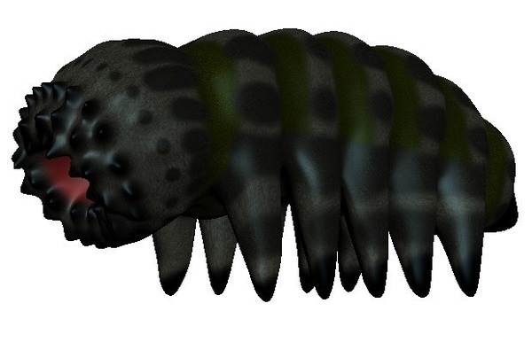 WORM