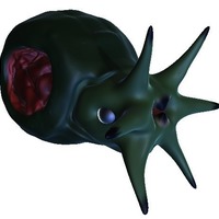 Dr.SHELLS - Thumbnail 2