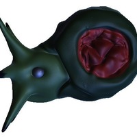 Dr.SHELLS - Thumbnail 4
