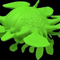 kite plant - Thumbnail 2