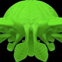 kite plant - Thumbnail 3