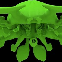 kite plant - Thumbnail 5