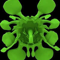 kite plant - Thumbnail 6