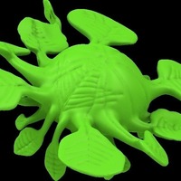 kite plant - Thumbnail 8
