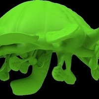 kite plant - Thumbnail 9