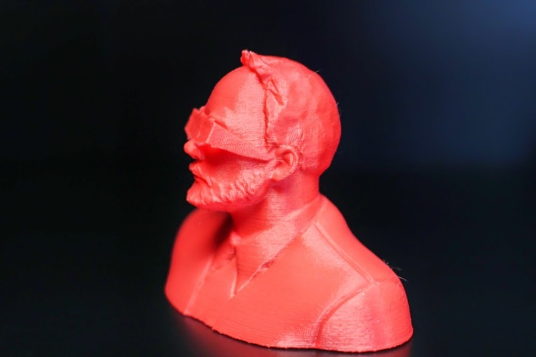 Bill Murray 3D 3D Print 748